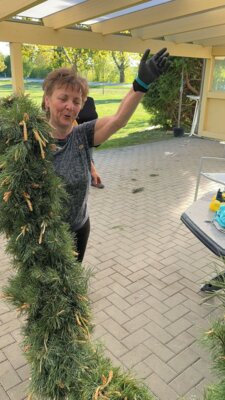 Foto des Albums: Girlande wickeln, Maibaum aufstellen und eine Linde pflanzen