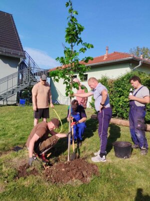 Foto des Albums: Girlande wickeln, Maibaum aufstellen und eine Linde pflanzen