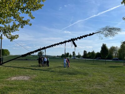 Foto des Albums: Girlande wickeln, Maibaum aufstellen und eine Linde pflanzen