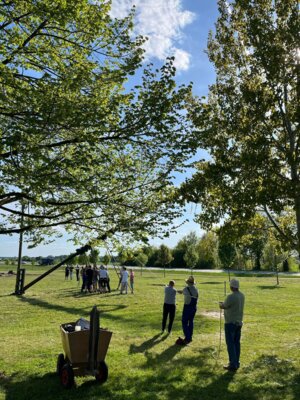 Foto des Albums: Girlande wickeln, Maibaum aufstellen und eine Linde pflanzen
