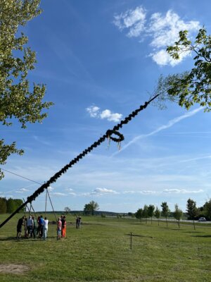Foto des Albums: Girlande wickeln, Maibaum aufstellen und eine Linde pflanzen