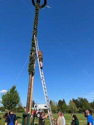 Foto des Albums: Girlande wickeln, Maibaum aufstellen und eine Linde pflanzen