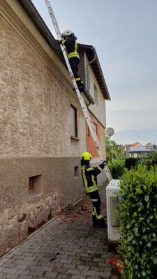 Foto des Albums: Unwettereinsätze