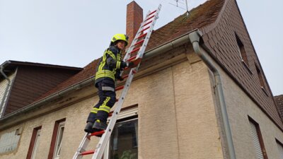Foto des Albums: Unwettereinsätze