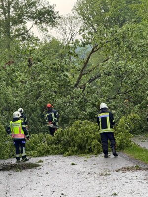 Foto des Albums: Unwettereinsätze