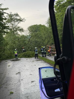 Foto des Albums: Unwettereinsätze