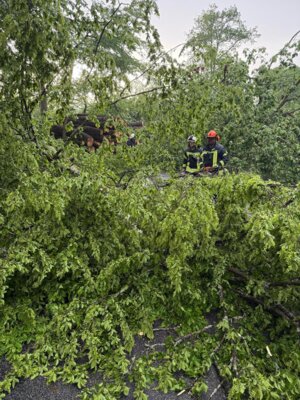 Foto des Albums: Unwettereinsätze