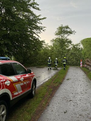 Foto des Albums: Unwettereinsätze