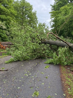 Foto des Albums: Unwettereinsätze
