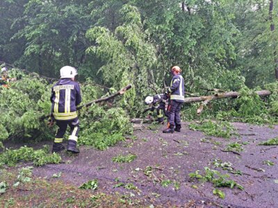 Foto des Albums: Unwettereinsätze
