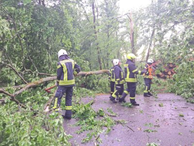Foto des Albums: Unwettereinsätze
