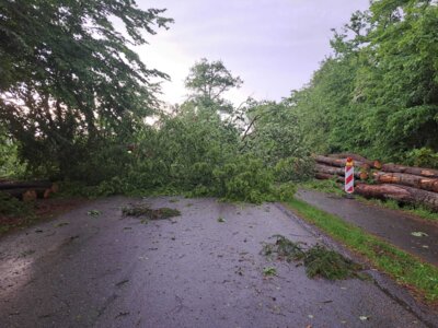 Foto des Albums: Unwettereinsätze