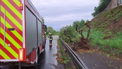 Foto des Albums: Unwettereinsätze