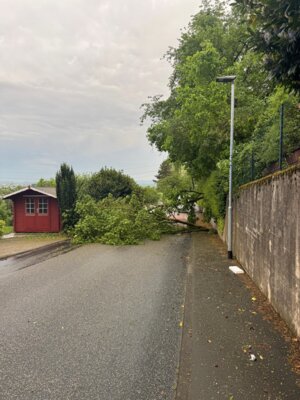 Foto des Albums: Unwettereinsätze