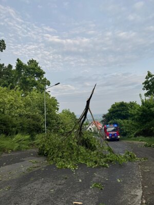 Foto des Albums: Unwettereinsätze