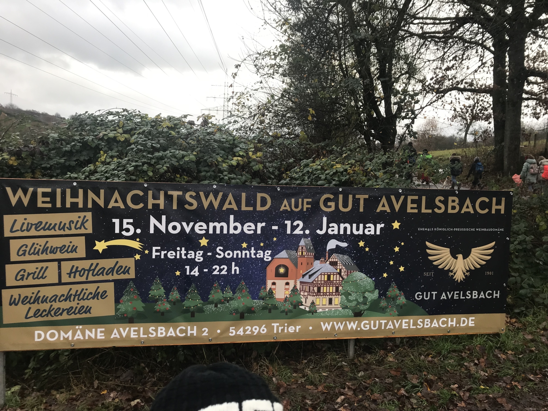 Bild der Galerie