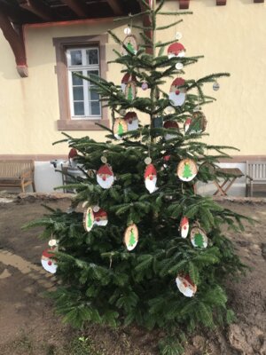 Vorschaubild der Galerie
