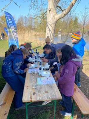 Foto des Albums: LAV MV Mobil - Gewässer erleben