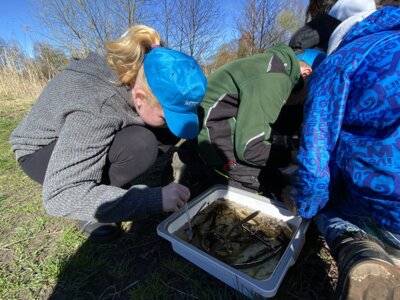 Foto des Albums: LAV MV Mobil - Gewässer erleben