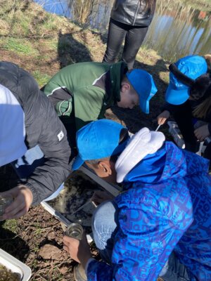 Foto des Albums: LAV MV Mobil - Gewässer erleben