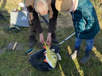 Foto des Albums: LAV MV Mobil - Gewässer erleben