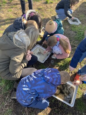 Foto des Albums: LAV MV Mobil - Gewässer erleben