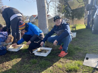 Foto des Albums: LAV MV Mobil - Gewässer erleben