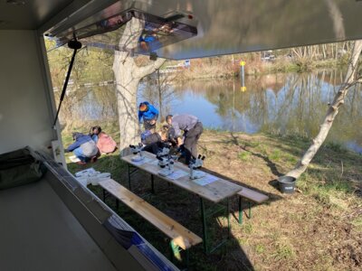 Foto des Albums: LAV MV Mobil - Gewässer erleben