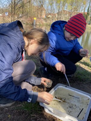 Foto des Albums: LAV MV Mobil - Gewässer erleben