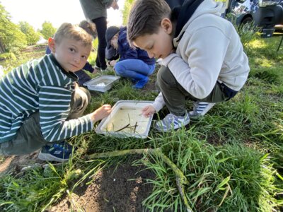 Foto des Albums: LAV MV Mobil - Gewässer erleben