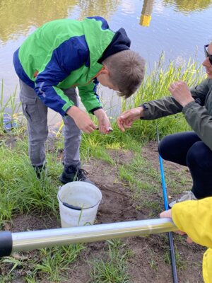 Foto des Albums: LAV MV Mobil - Gewässer erleben