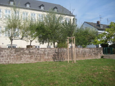 Vorschaubild der Galerie