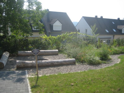 Vorschaubild der Galerie