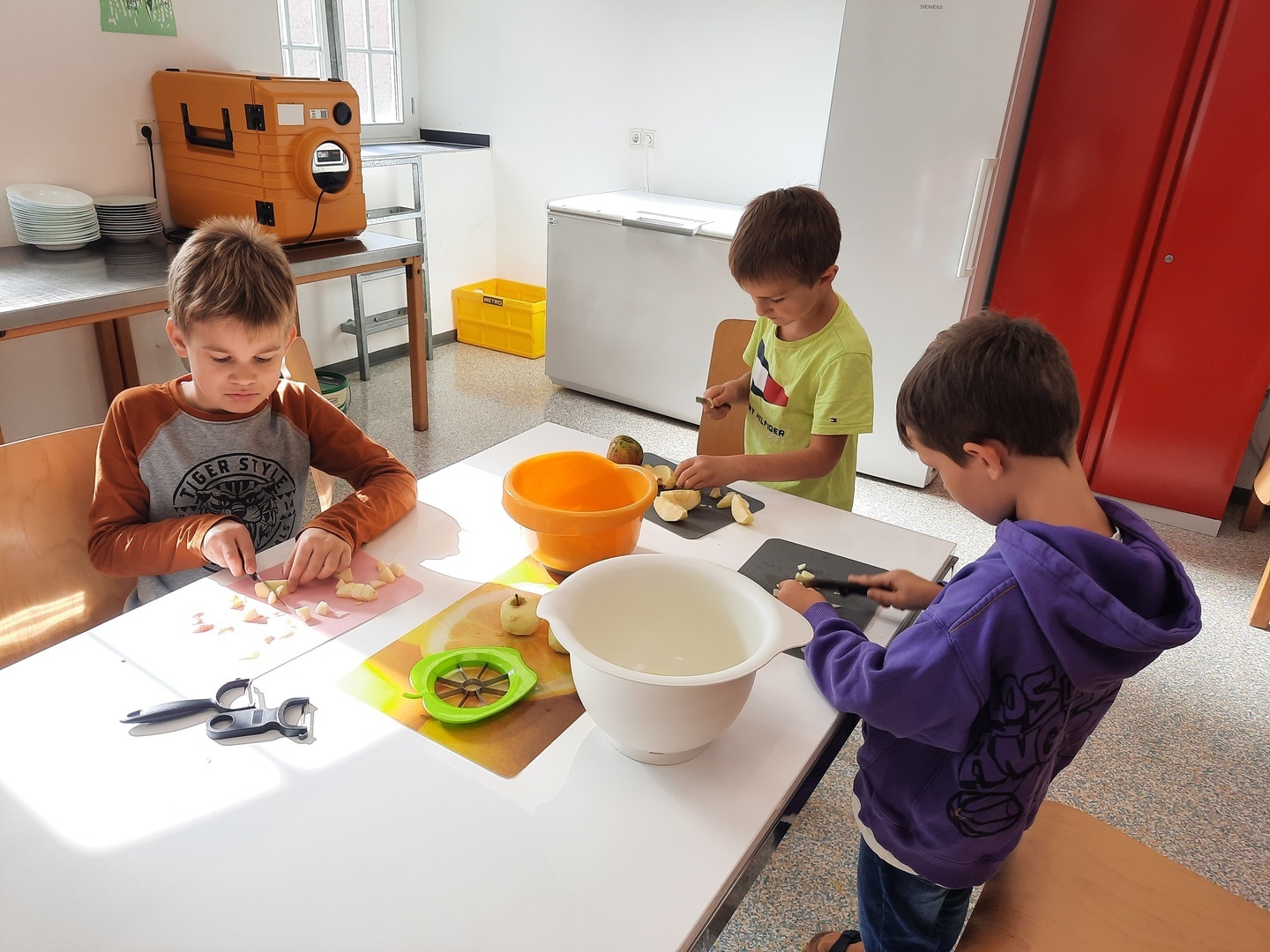 Bild der Galerie