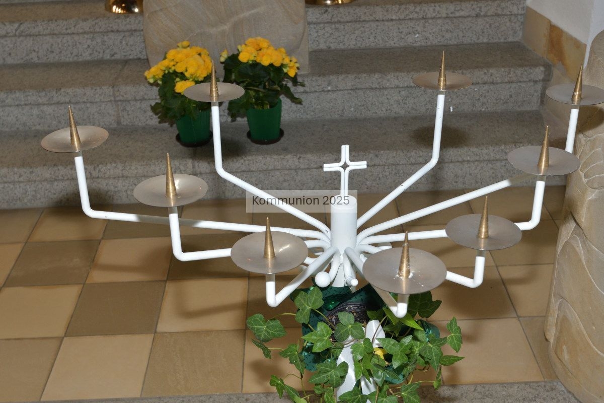 Bild der Galerie