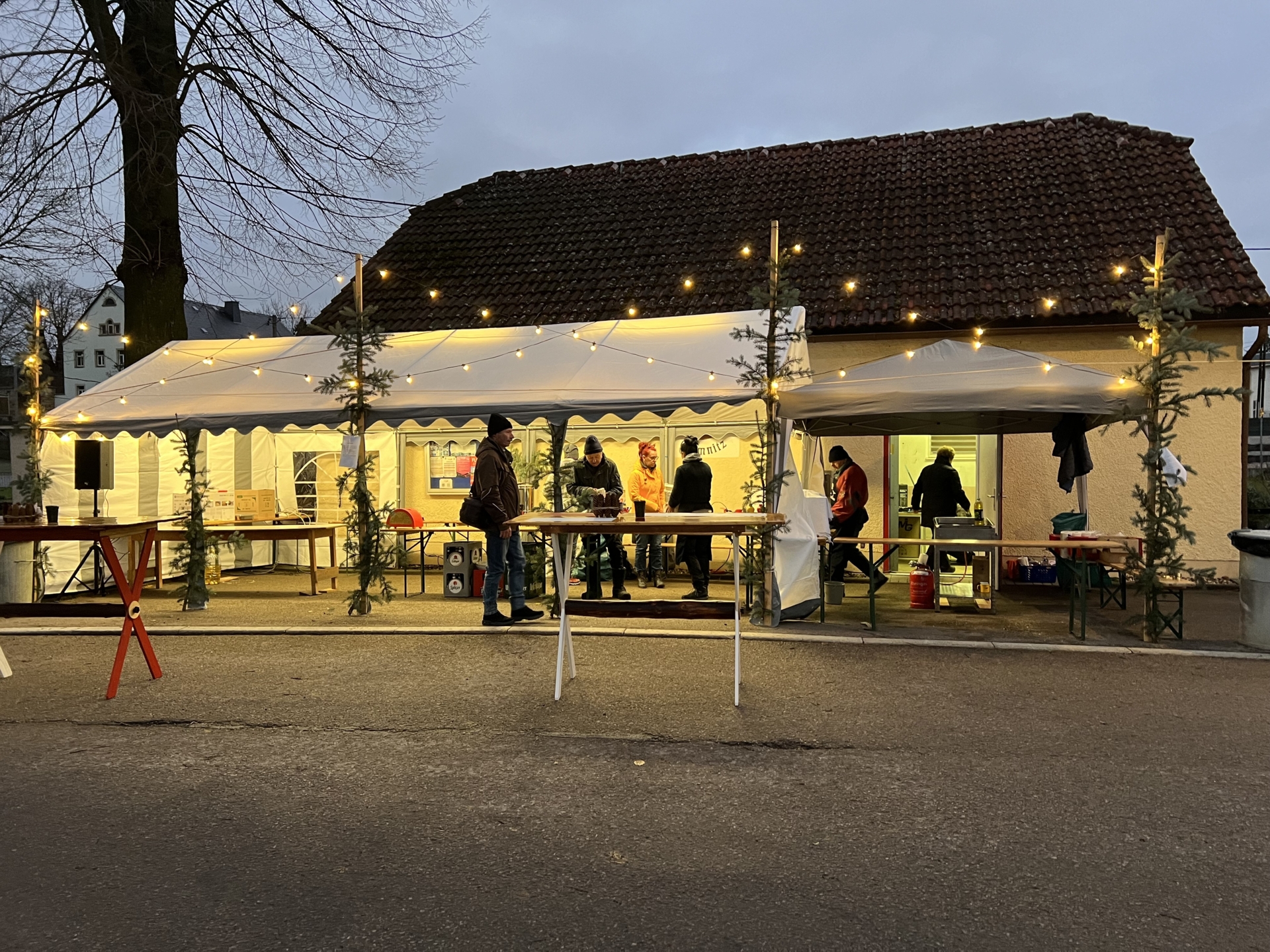 Bild der Galerie