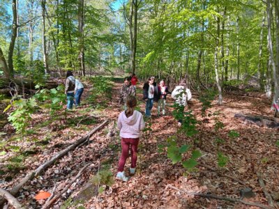 Foto des Albums: Der Wald - Ausflug der 2b ins RUZ