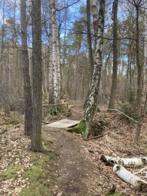 Foto des Albums: Trampelpfad_2025