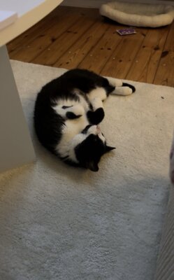 Fotoalbum Lola und Monty