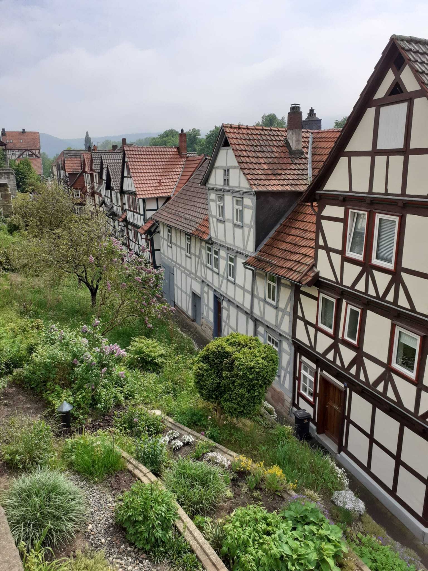Bild: Bad Soden