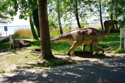 Dino von links  (Bild vergr&ouml;&szlig;ern)