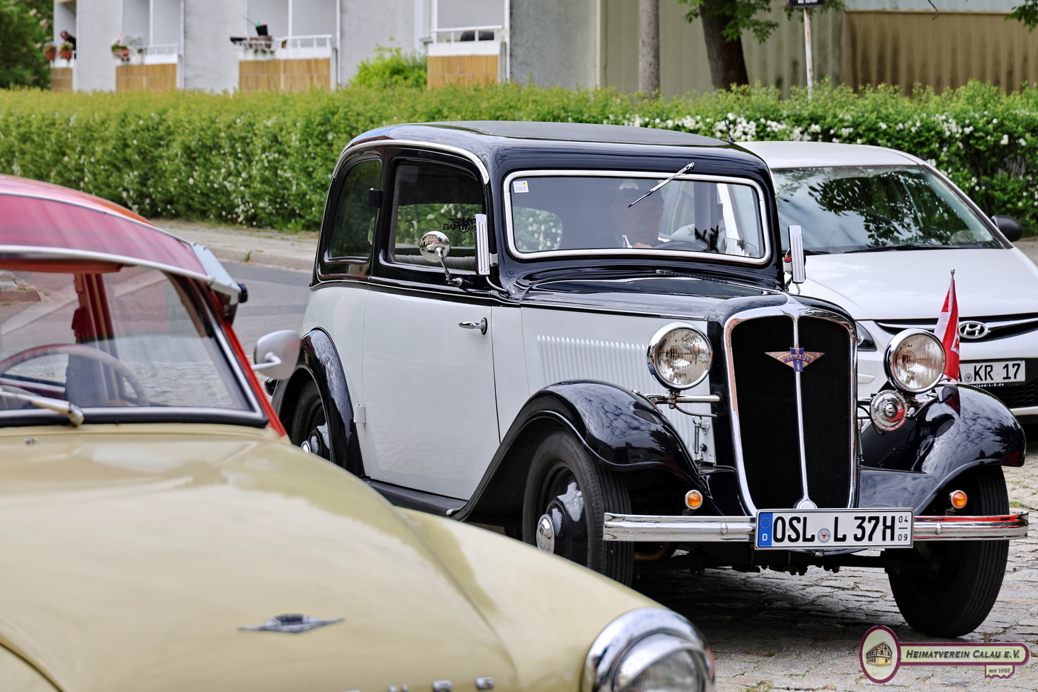 Bild der Galerie