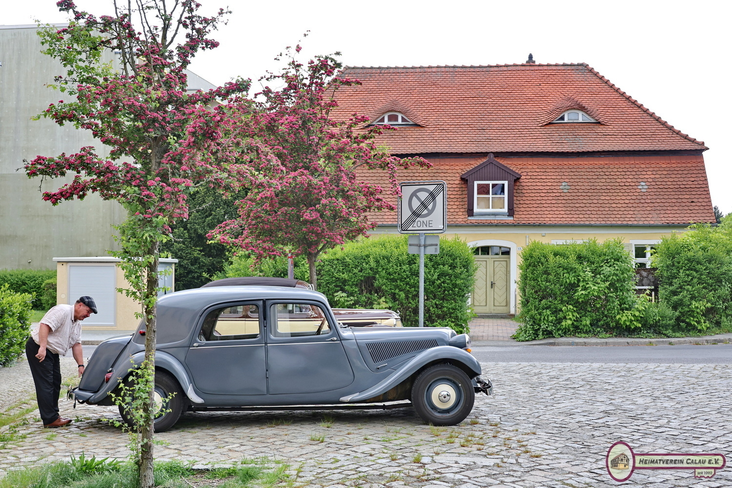 Bild der Galerie