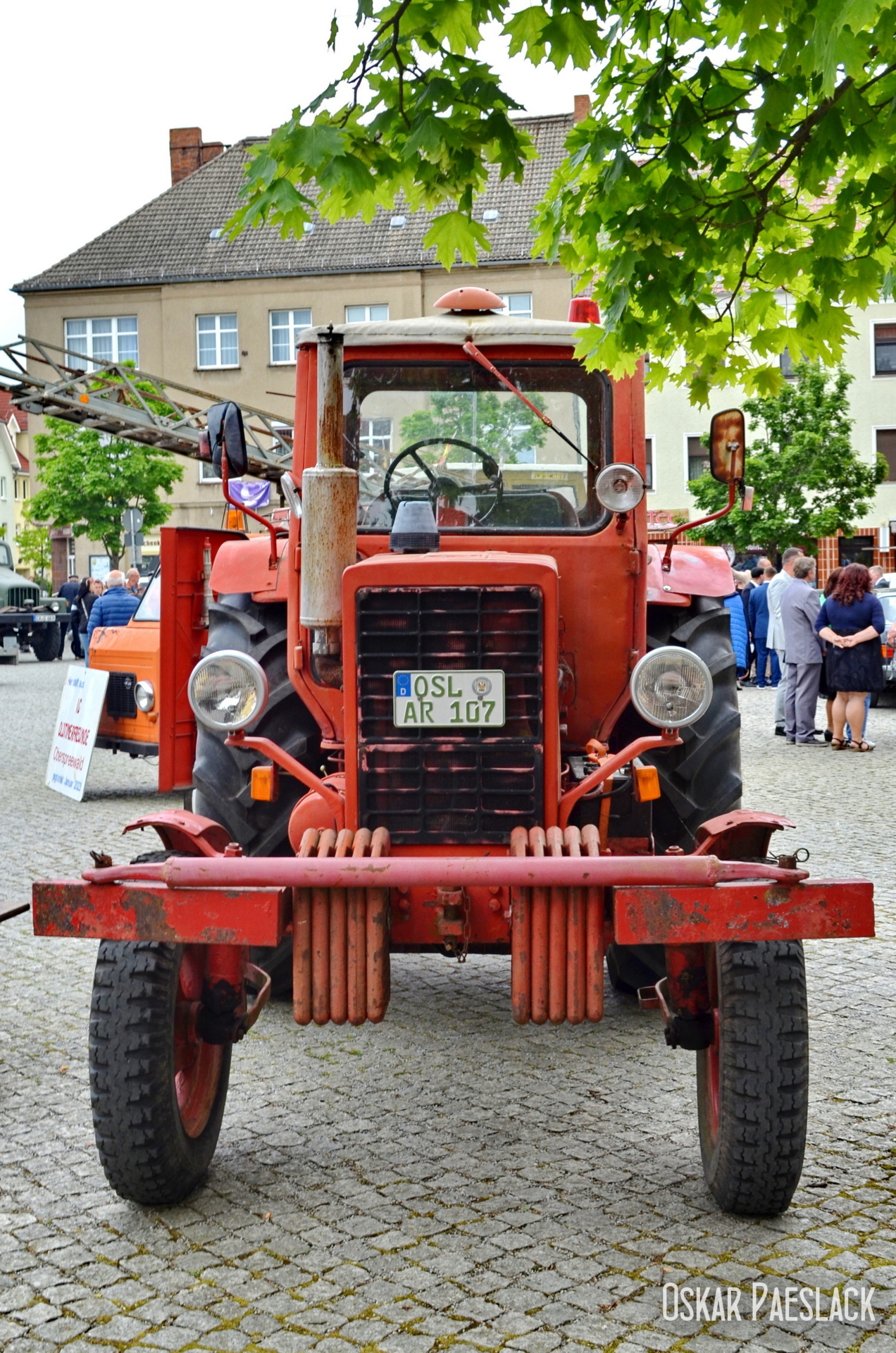 Bild der Galerie
