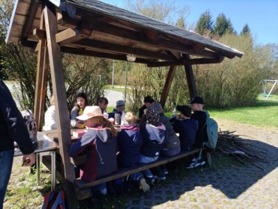Foto des Albums: Klassenfahrt Klasse 3 und 4 Hormersdorf
