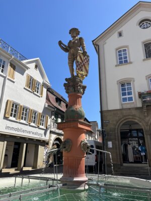 Foto des Albums: Stadtführung Besigheim