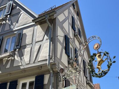 Foto des Albums: Stadtführung Besigheim