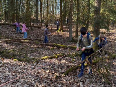 Foto des Albums: Weitere Bilder der Klassenfahrt der Klasse 4 nach Arnsberg