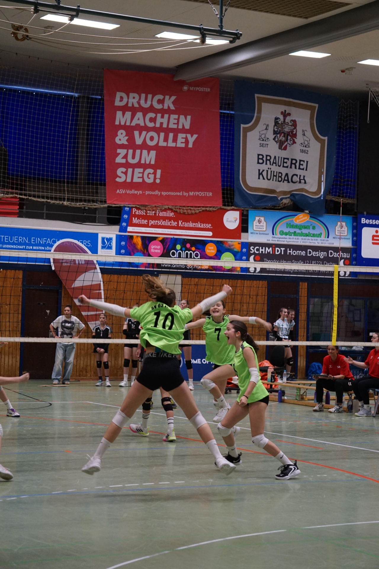 Bild der Galerie