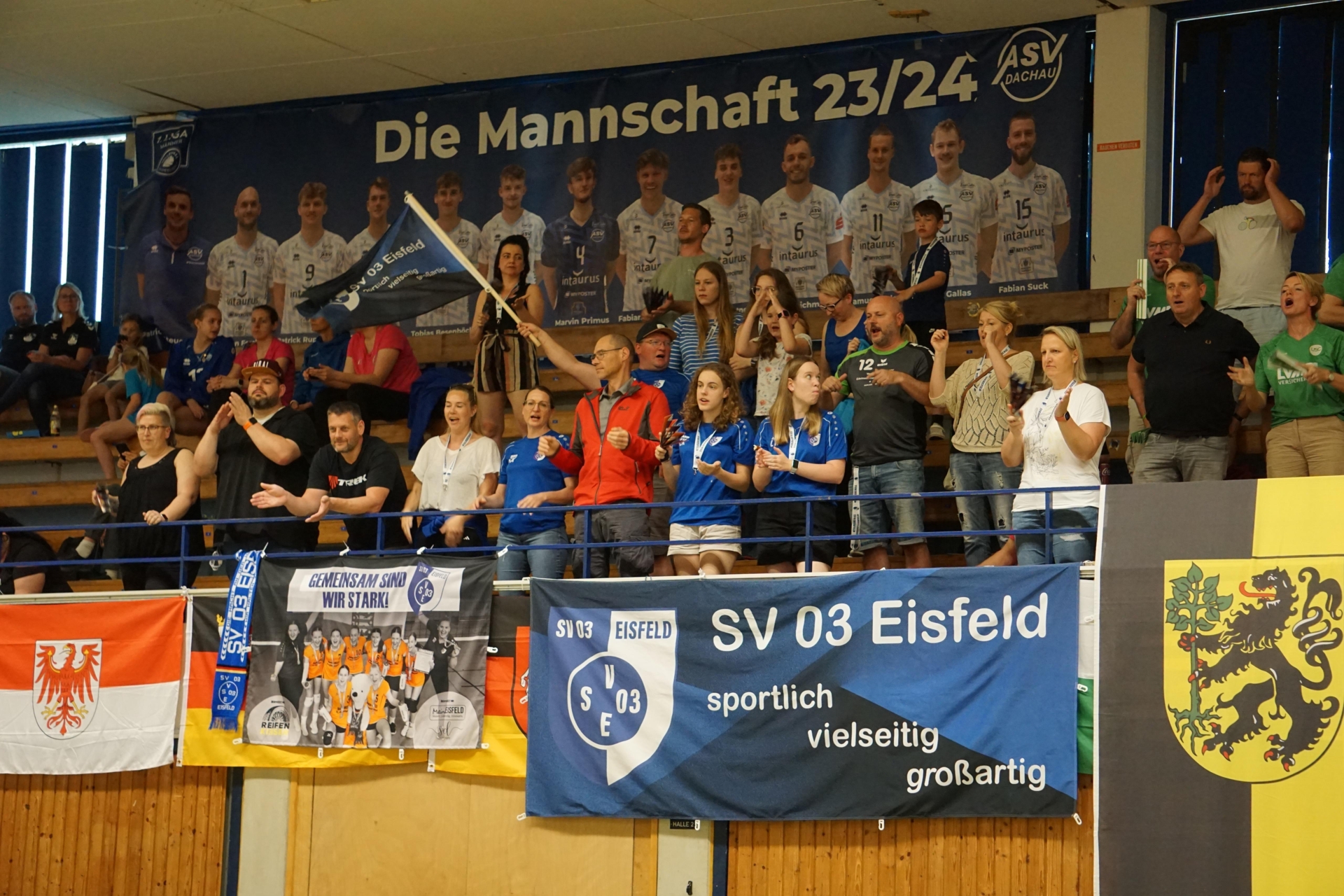 Bild der Galerie